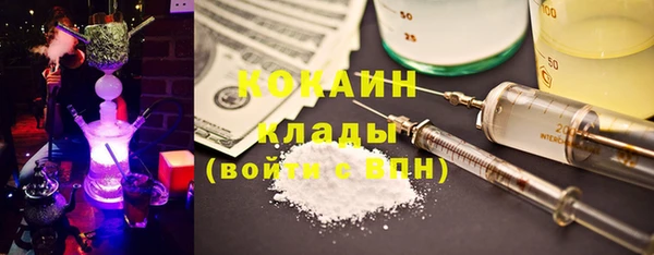 ECSTASY Лагань