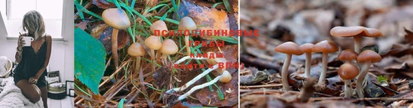mdpv Братск