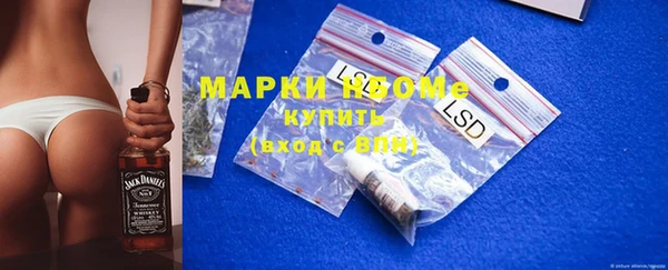 стаф Великий Новгород