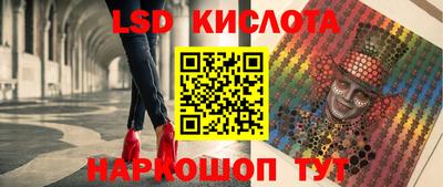 гашик Будённовск