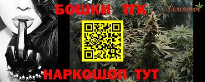 гашик Будённовск