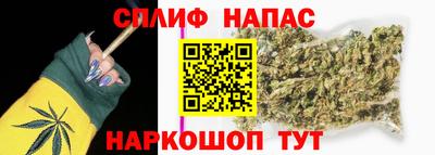 гашик Будённовск