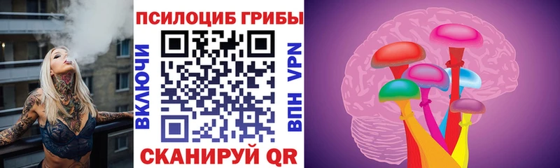 где купить наркоту  MEGA рабочий сайт  Галлюциногенные грибы MAGIC MUSHROOMS  Дербент 