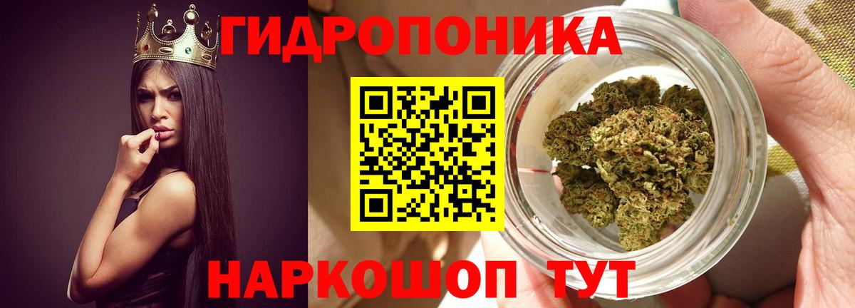 Бошки марихуана ГИДРОПОН  МАРИХУАНА OG Kush  Дербент  Канабис OG Kush 